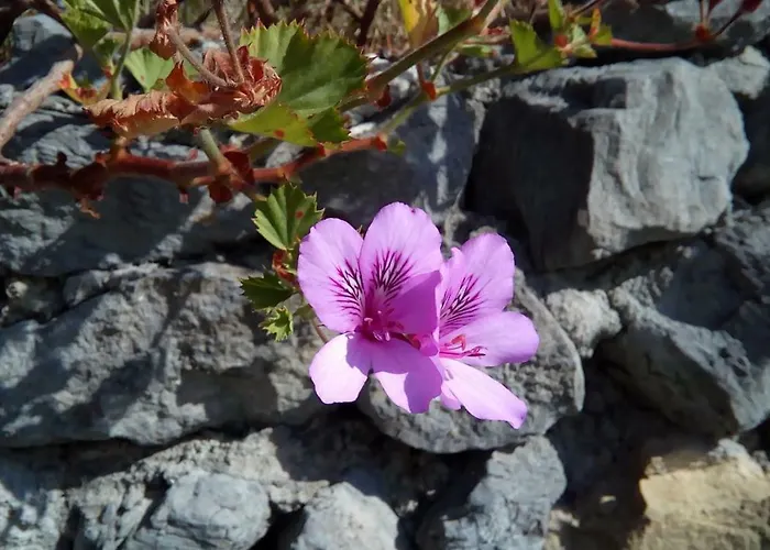 Logra-sol Hébergement de vacances Figueira da Foz
