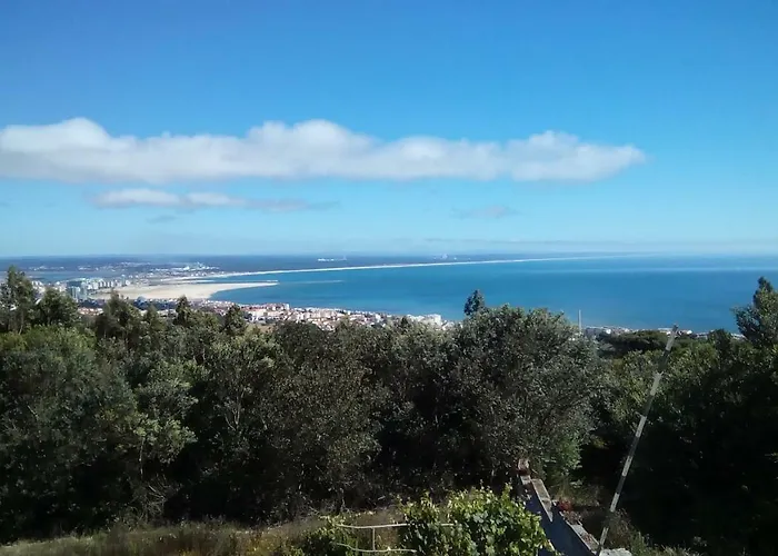 Logra-sol * Figueira da Foz