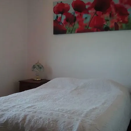 Nyaraló Logra-sol *